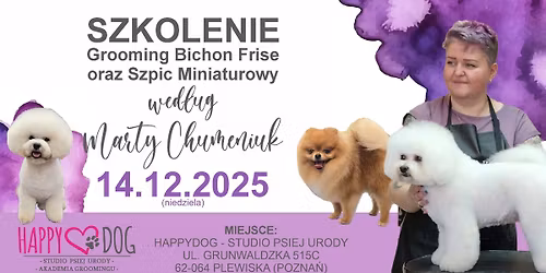 Grooming Bichon frise oraz Szpic miniaturowy okiem Marty Chumeniuk