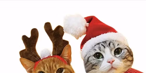 Cat Smart Coalition Holiday Raffle Event