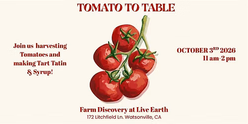 Tomato To Table