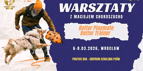 Better Playmate, Better Trainer - warsztaty z Maciejem Choroszucho we Wroc\u0142awiu