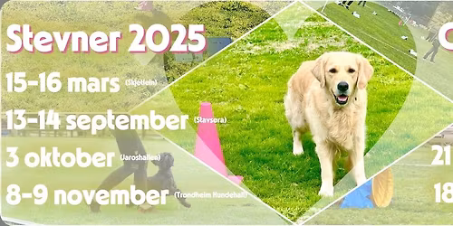 Rallystevne 21-22. mars 2026