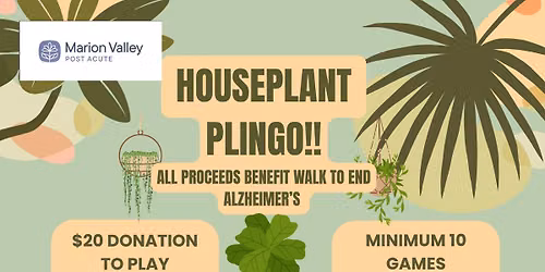 Plingo!