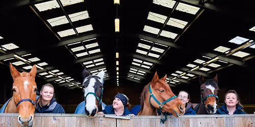 Horse riding weekend @Calvert Devon