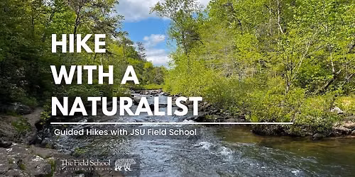 Hike With A Naturalist - Beaver Pond Trail