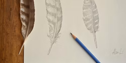 Introduction to Nature Drawing