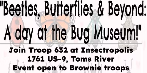 Beetles, Butterflies, & Beyond: A Day at the Bug Museum!