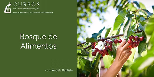Bosque de Alimentos