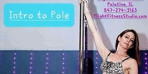 Intro to Pole Dance & Fitness