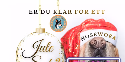 Jule s\u00f8k (Bj\u00f8rk)