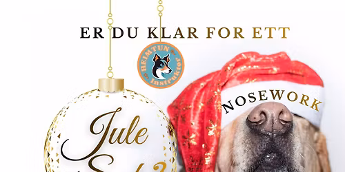 Jule s\u00f8k (Bj\u00f8rk)