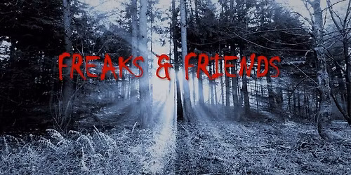FREAKS & FRIENDS I New Dark Cold Synth Wave, Post Punk, Indie, Gothic, Batcave, Minimal, NDW, EBM