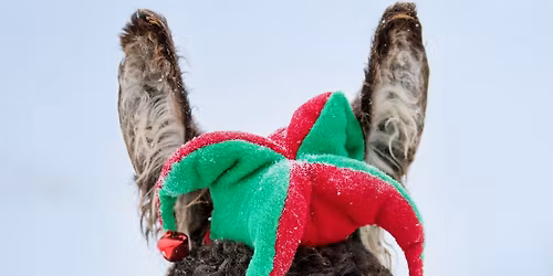 BRES December Social