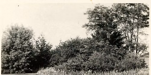 Herbert Dow's Garden Tours