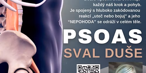 \u2705 PSOAS - SVAL DU\u0160E \u2665\ufe0f WORKSHOP 4h