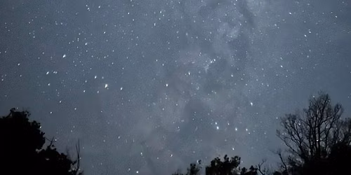 Night Sky Gazing Walk