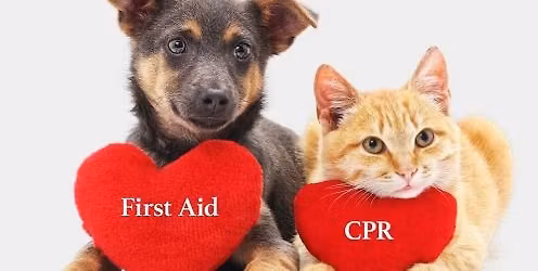 Pet CPR and First Aid 4\/11