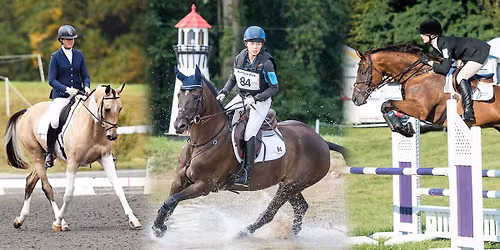 Arena Full ODE: Dressage, Showjumping, Combined Training for ALL Levels (all on sand)