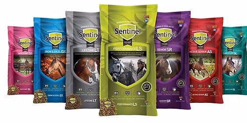 Nutrition Client Education Event