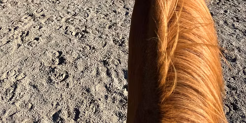 L\u00e4nnenratsastusta ja karjaty\u00f6skentely\u00e4 by Anna Porola