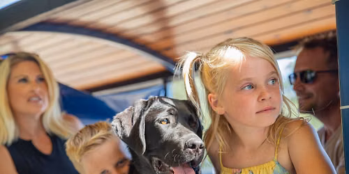 Devoted to Dogs Day
