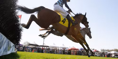 Fall Steeplechase Aiken - SC