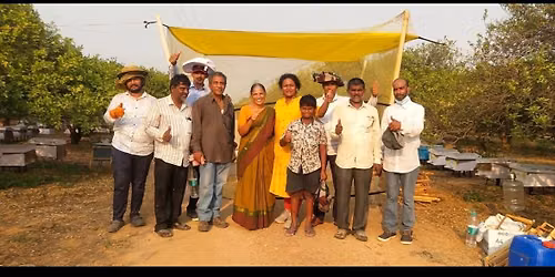 Beekeeping training 