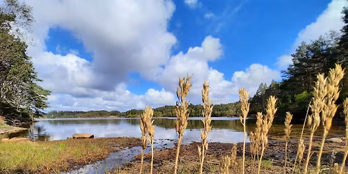 Rundtur Straumsvollvatnet, Nordre Vikse, Sveio