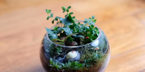 My Lonely Planet Terrarium Workshop