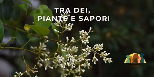 Tra Dei, Piante e Sapori