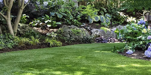 Fall Lawn Care at Stark