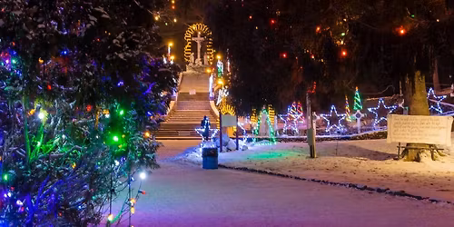 Christmas Lights & Bites