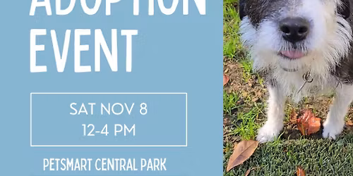 11\/8 Adoption Event at PetSmart Central Park