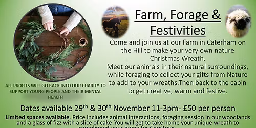 Festive Farm Fun