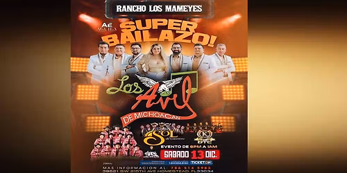 LOS AVIL DE MICHOACAN & MAS