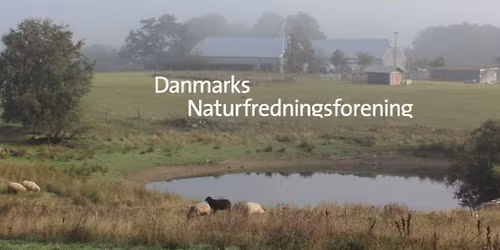 Affaldsindsamling i Herlev og Hjortespring 