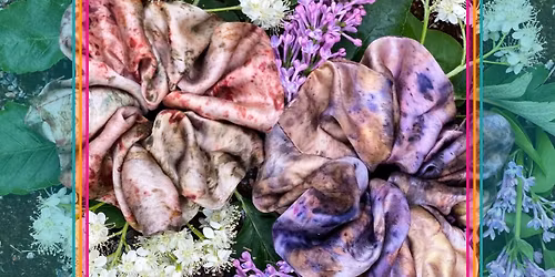 Kreativt Kaf\u00e9 - v\u00e4xtf\u00e4rgning med midsommarblomster