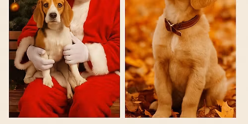 \ud83c\udf84\ud83d\udc3e Holiday Photos for a Cause! \ud83d\udc3e\ud83c\udf41