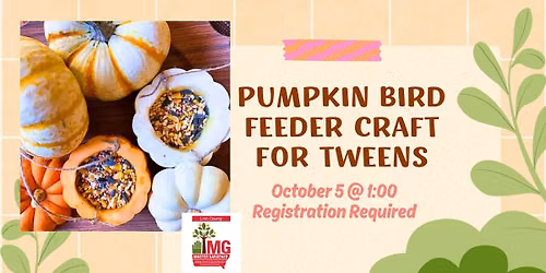 Pumpkin Bird Feeder Craft for Tweens