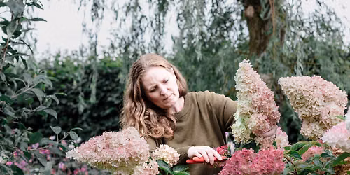 Autumn Garden Reset - Workshop