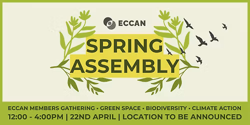 ECCAN Spring Assembly