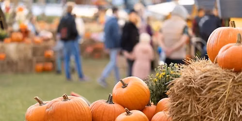 Fall Fest