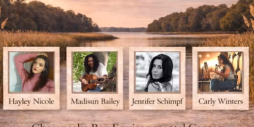 Music in the Marsh