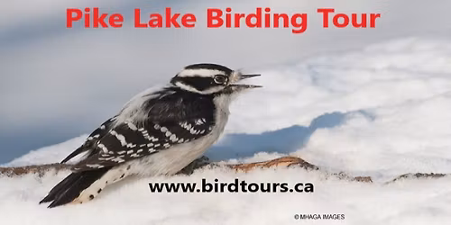 Pike Lake Birding Tour