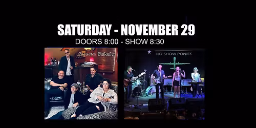 NO SHOW PONIES\/GROOVE REBELS