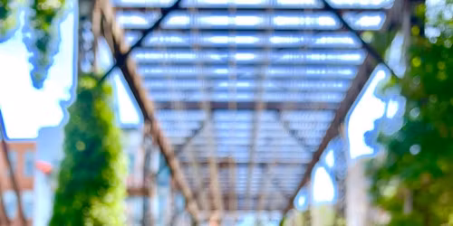 NAMI RC Rocks- Rocks of Support Discussion & Painting Workshop