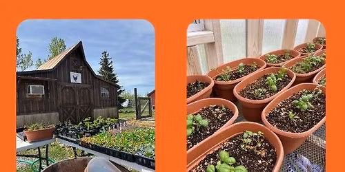 Grow Your Own Herbs \ud83c\udf3f Workshop - May 31 12:30pm