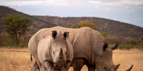NAMIBIE - safari mezi dunami a hv\u011bzdami - V\u00e1clav Bacovsk\u00fd