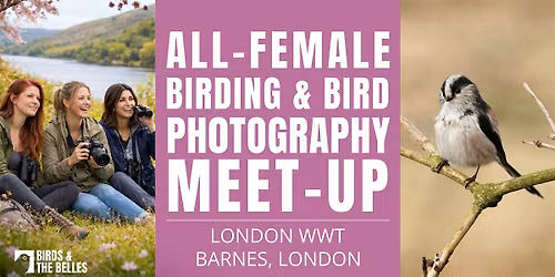 All-Female Bird & Bird Photography Morning