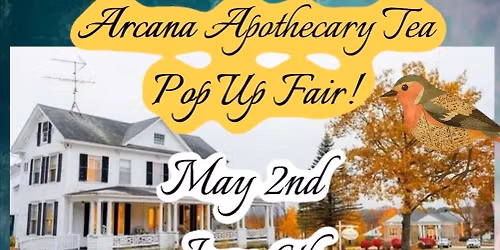 Arcana Apothecary Tea Room Grand Opening Celebration 