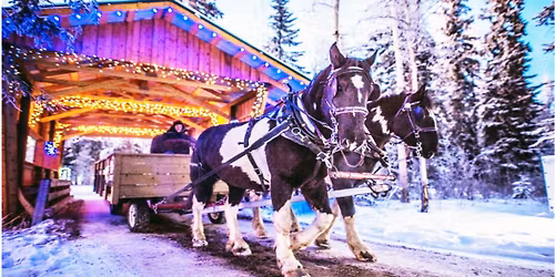 NORTHERN SPIRIT LIGHT SHOW